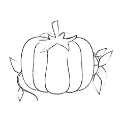 Fresh pumpkin vegetable icon vector illustration graphic design
