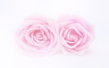 Fototapeta na wymiar Pink rose petals isolated on white background for valentines day