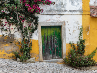 Fototapeta na wymiar Colorful Facade and Small Bush in the Medieval Portuguese City of Obidos