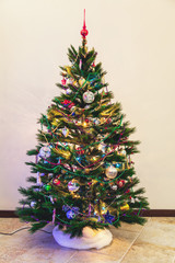 Christmas tree stands on white wall background