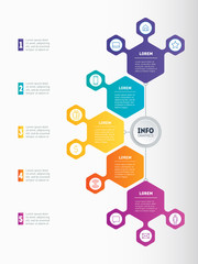 Infographic or Business presentation with 5 options. Web Template of a chart, diagram on white background. Vector dynamic infographics or mind map of technology or education process with 5 steps.