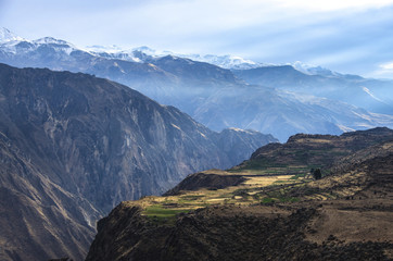 Fototapeta premium The canyon Colca is the deepest in the world