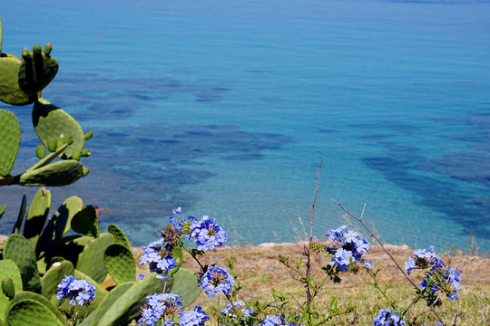 Terrasini, Sicilia