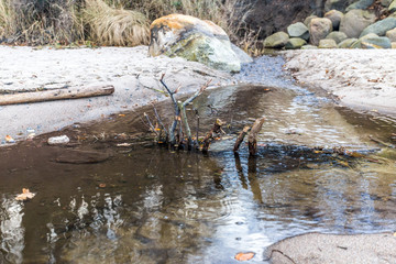 Bachlauf am STrand