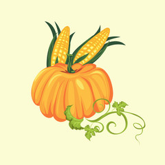 pumpkin with two corn cobs in green leaves, autumn food background vector illustration, vegetable harvesting, thanksgiving day products