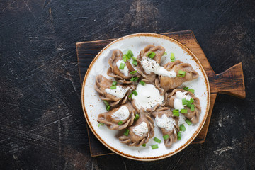 Rye dumplings stuffed with sauerkraut and served with sour cream and green onion. Flat-lay on a scratched dark brown metal surface, copyspace