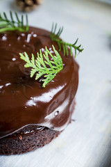 Creamy cake with chocolate glaze on the rustic background. Selective focus. Shallow depth of field.