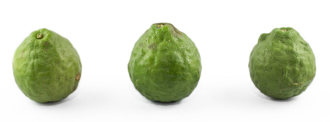 Bergamot is a herb