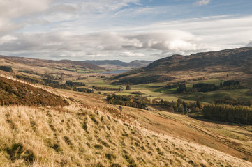 Naklejka premium Glen Quaich / Looking along Glen Quaich from above Pitmackie, Perth and Kinross, Scotland.