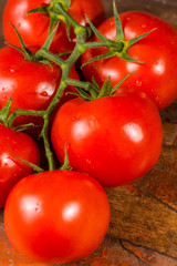Vine with red ripe tomatoes from Dutch greenhouse