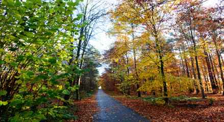Beauty of Autumn :)
