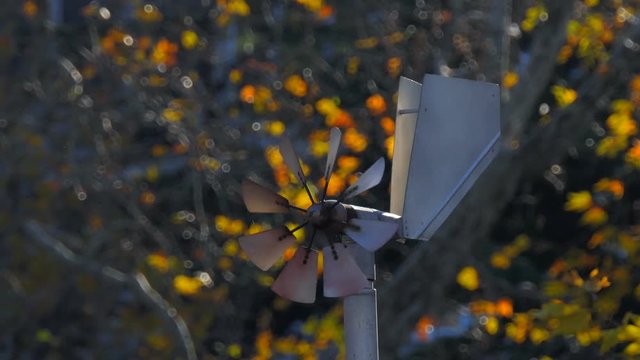 wind vane with propeller