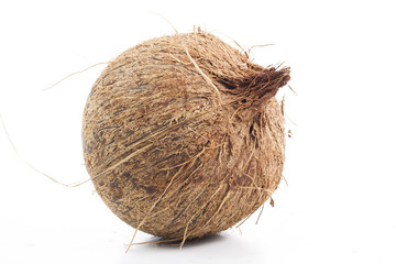 Whole hairy coconut with coco fibers On isolated white studio background. Clipping path. Single object on white background photo.