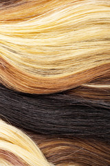 Real woman hair texture. Human hair weft, Dry hair with silky volumes. Real european human hair wallpaper texture. Brown blond dark blonde and black. Texture background.