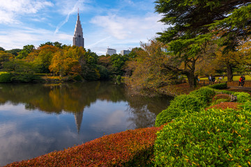 Beautiful Japanese Garden in Autumn Season, Tokyo, Japan