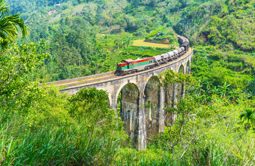 The train on Nine Arch Bridge in Damodara