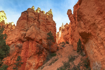 Beautiful red rocks on Fairyland Trail, Bryce Canyon, Utah