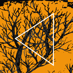 background of black bare branches on an orange background. For a music player