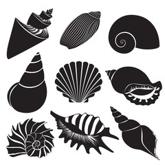 Vector sea shells. Seashell silhouettes set isolated.