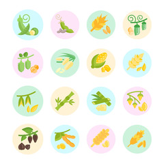 Set Vector Flat Icons of Beans and Cereals