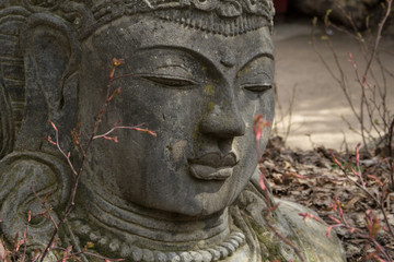 Buddha Statue 