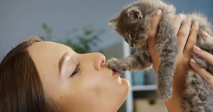 Beautiful young woman holding and kissing the small kitty-cat on the sunlight background of the kiving room. Indoor