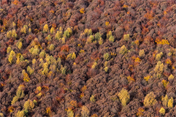 Vue aérienne de forêt à l'automne à Montroty en Seine-Maritime en France