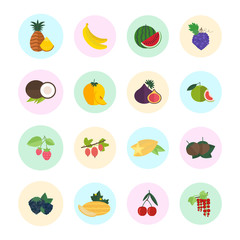 Set Vector Illustration of Fruits