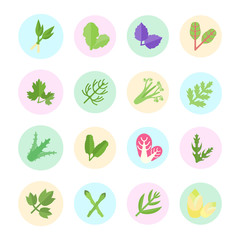 Set Vector Flat Icons of Herbs