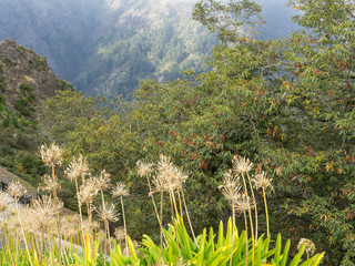 Madeira