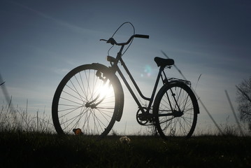 Fototapeta na wymiar bike standing in the meadow