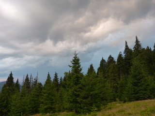 Evening cloudy sky above the mountain forests of the Ukrainian Carpathians.