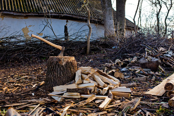 Fototapeta premium Firewood and old splitting axe.