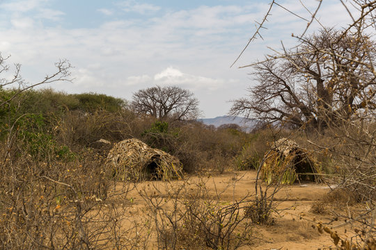 Totems des afrikanischen Urweltstammes Hatsabe