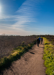 Family Walk