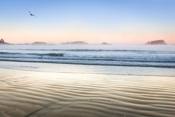 Amazing west coast of Vancouver Island