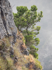 Die Insel Madeira im Atlantik