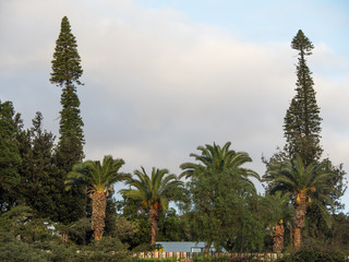 Die Insel Madeira im Atlantik