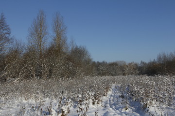 the ski track passes through the snow-covered field