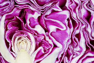 Obraz premium macro of sliced red cabbage, abstract food background