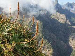 Die Insel Madeira im Atlantik