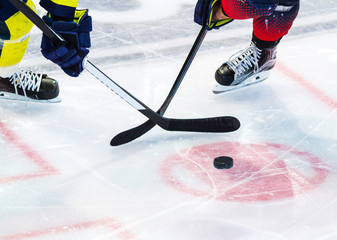 Obraz premium ice hockey player on the ice