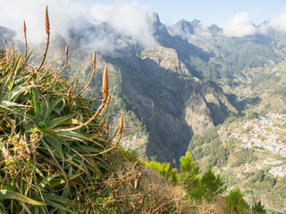 Die Insel Madeira im Atlantik
