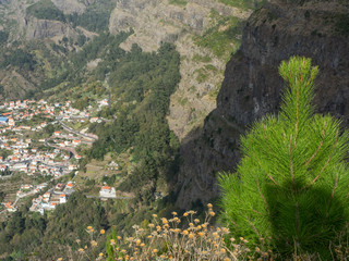 Die Insel Madeira im Atlantik