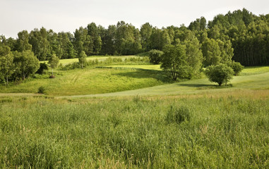 Landscape near Guciow village. Lublin voivodeship. Poland