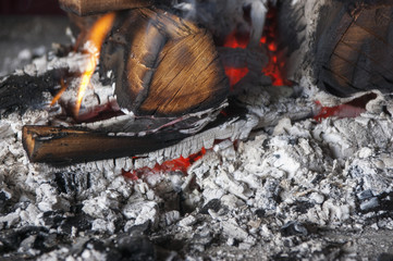 The burning firewood on a fire