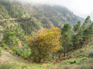 Die Insel Madeira im Atlantik
