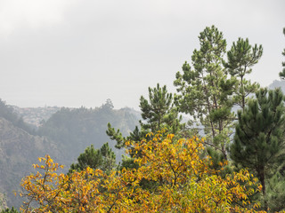 Die Insel Madeira im Atlantik