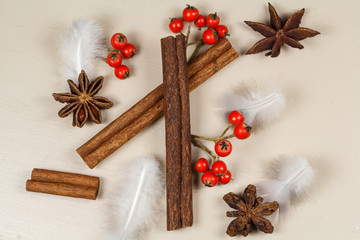 Cannelle, anis étoilé, plumes et baies rouges