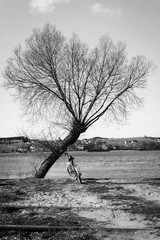 bike/ rower © grzeg0rz